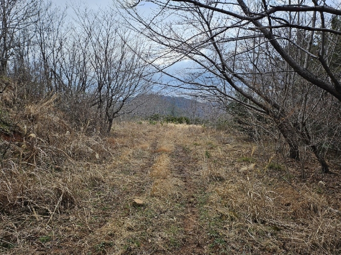 기호(3) 남동측에서 바라본 전경