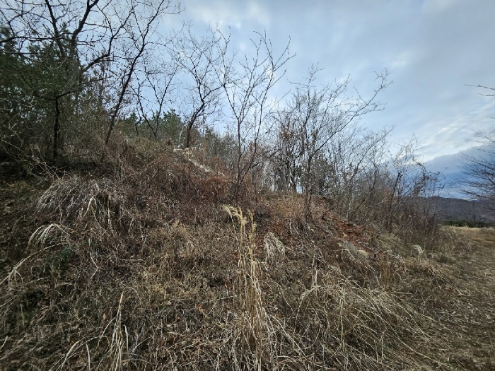 기호(4) 동측에서 바라본 전경