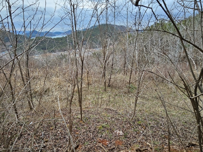 기호(7) 동측에서 바라본 전경