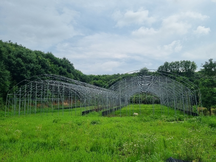 [본건 1 지상 소재 철구조물]
- 평가제외