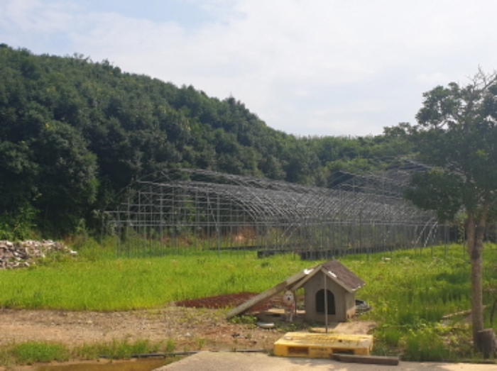 물건번호1번 지상에 설치된 하우스 철골조