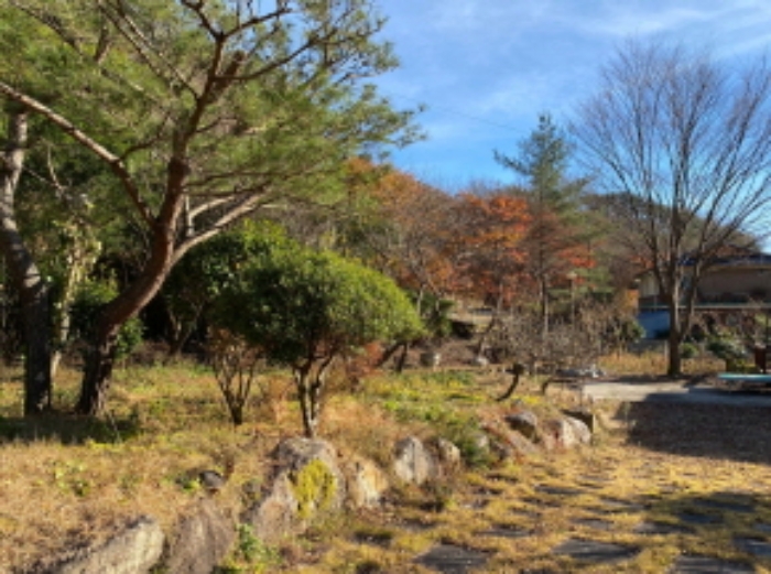 제시외 조경수 및 조경석 사진