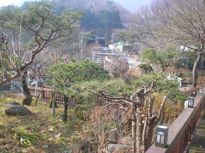 본건 기호(4) 지상 제시외수목