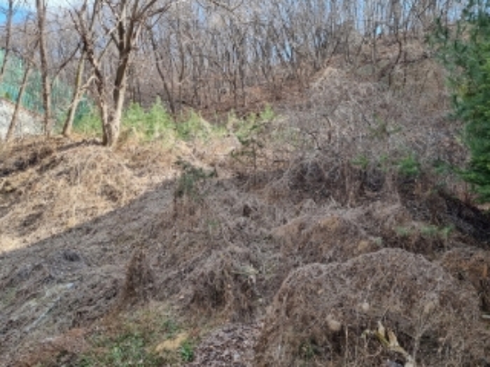 부동산 전경(하단에서 상단 방향)