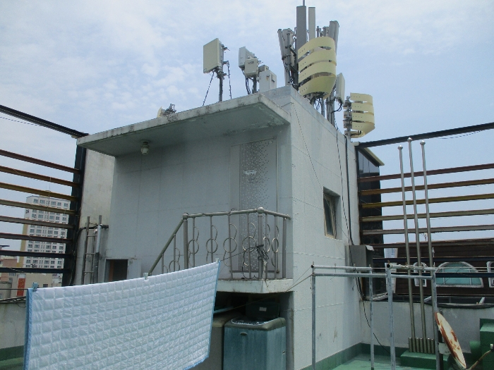 일련번호(3)건물 옥상