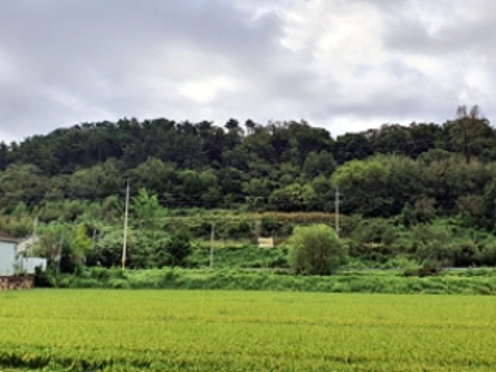 본 건 기호1,2 및 주변 전경