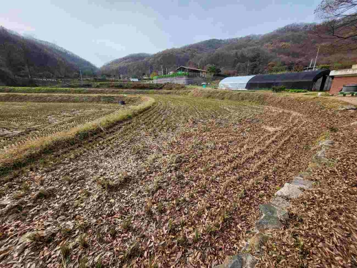 제시 목록 3 부동산