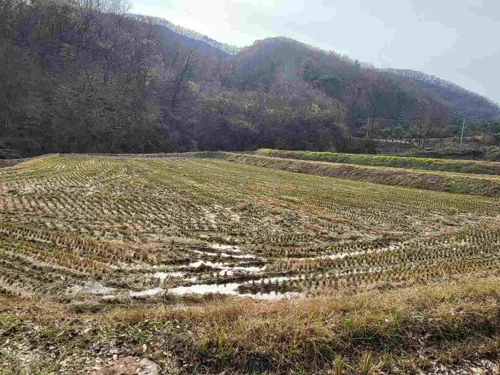 제시 목록 4 부동산