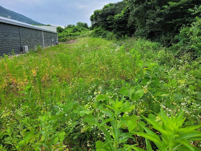 본건 기호 (1) 전경