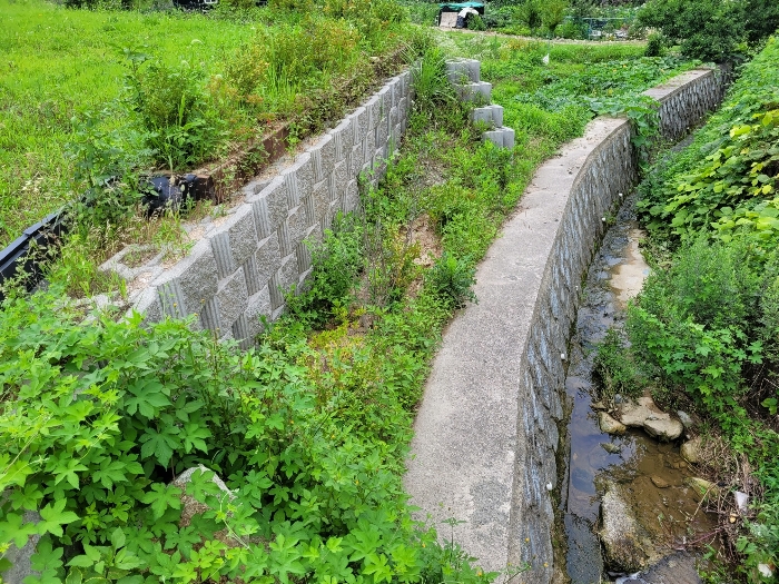 본건 기호 (2) 지상 제시외 수목