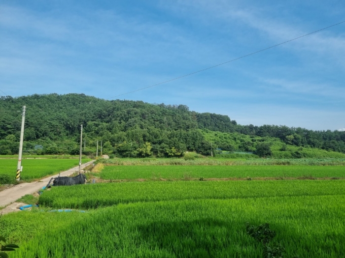 부근전경