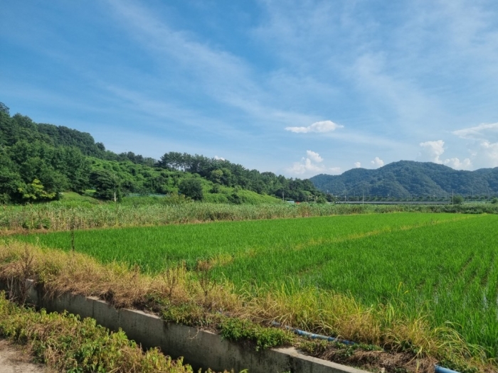 본건전경