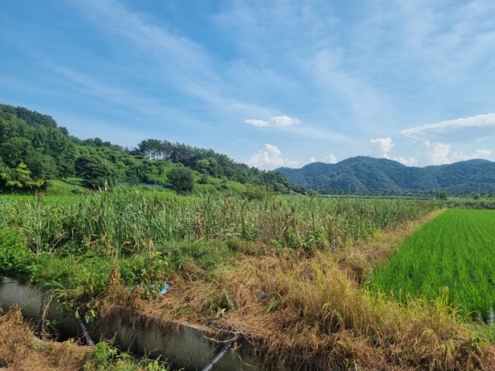 본건전경