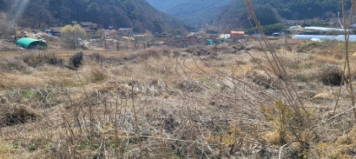 남원리 316-1 전경 - 일부 전으로 사용되고 나머지는 묵 답 상태임.