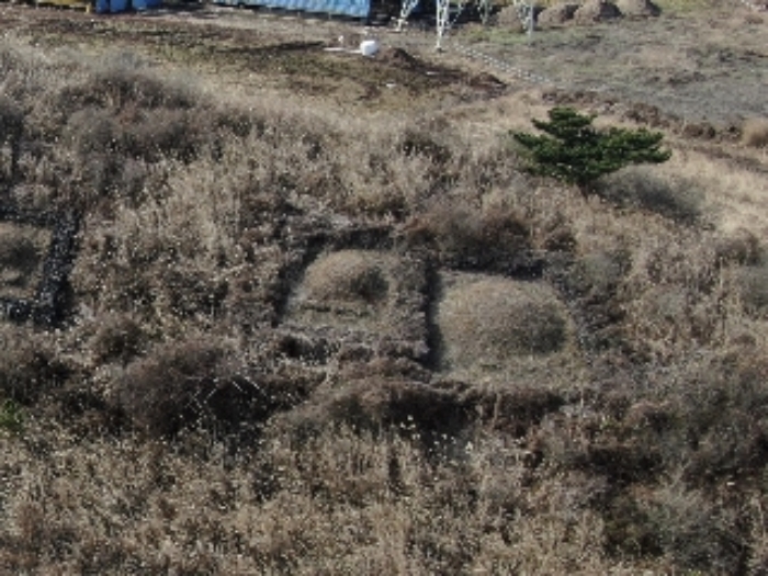 소재지2.(금악리 14) 지상에 분묘2기