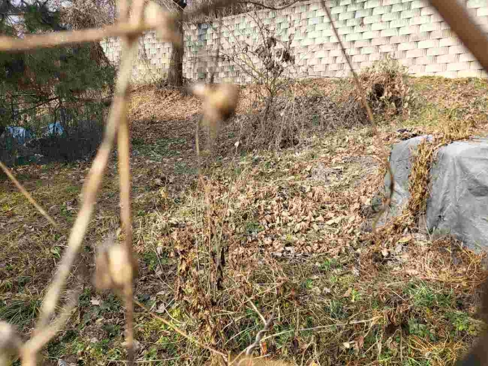 제시 목록 3 부동산