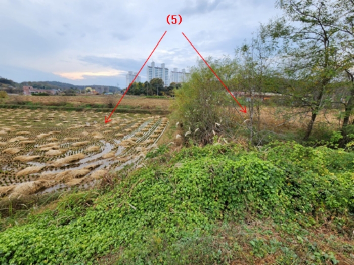기호(5) 전경 - 본건 동측에서 촬영