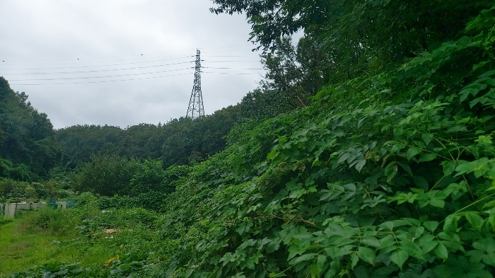 본건 전경