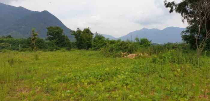 수월리 109-51 전경