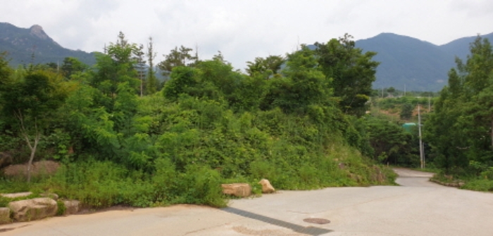 수월리 1069-3 전경