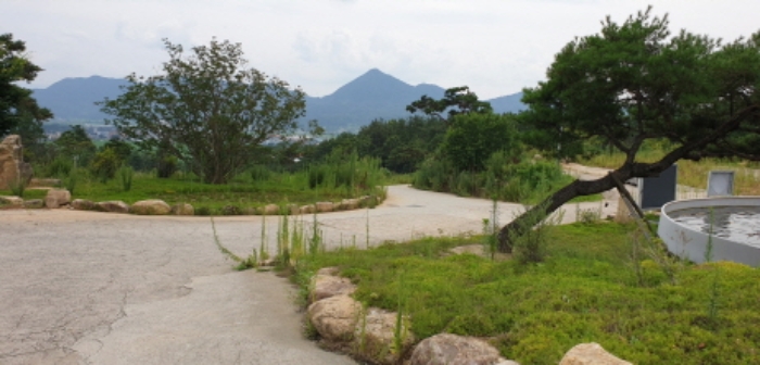 수월리 1069-4 전경