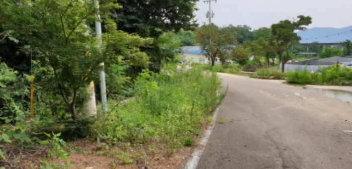 수월리 산109-48 전경