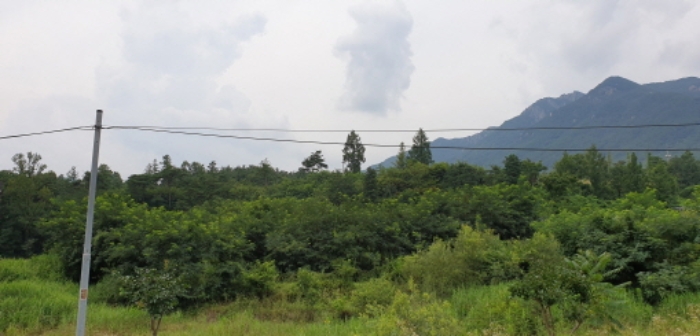 수월리 산109-22 전경