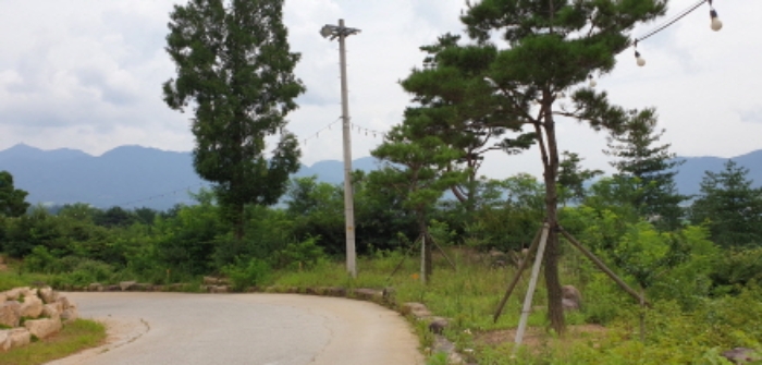 수월리 산109-22 전경