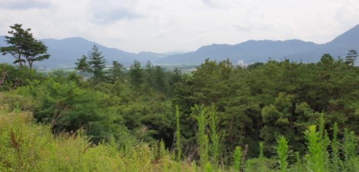 수월리 산109-22 전경