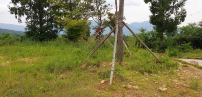 수월리 산109-50 전경