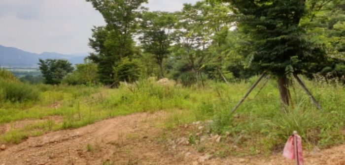 수월리 1069-5 전경