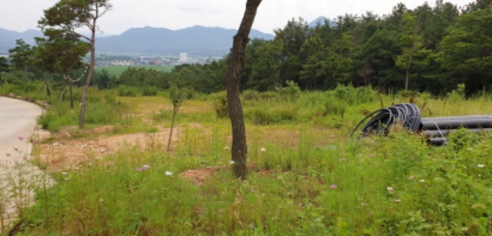 수월리 1069-5 전경