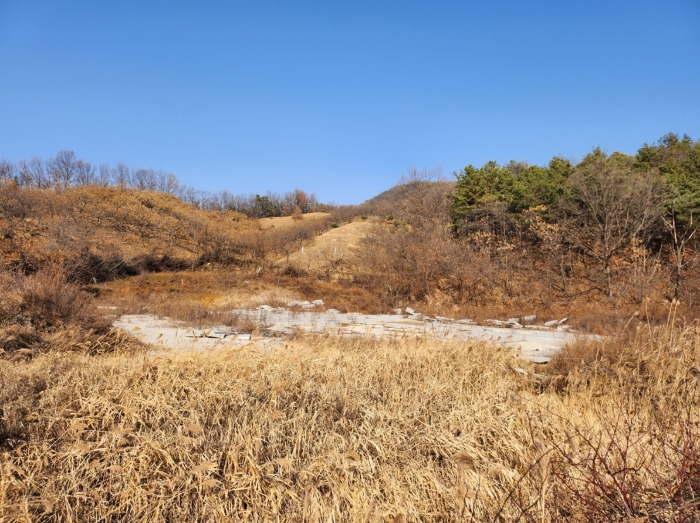 본건 전경