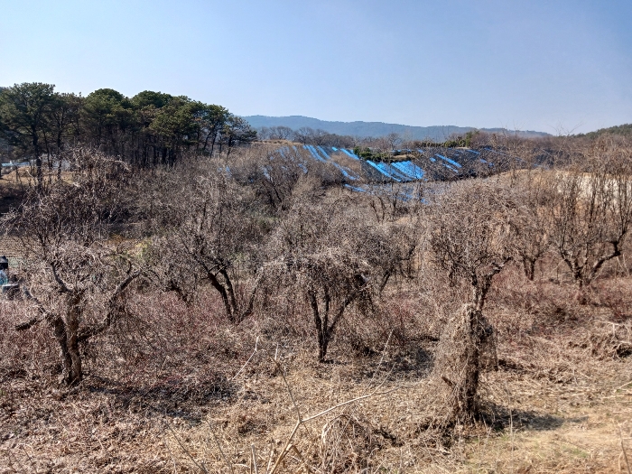 본건 북서측 부분 근경