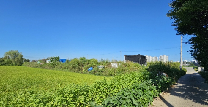 남동측에서 바라본 본건 전경