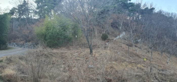 산 20-11