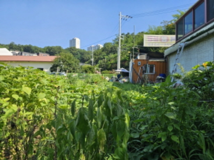 목록11. 전경(농작물 경작)