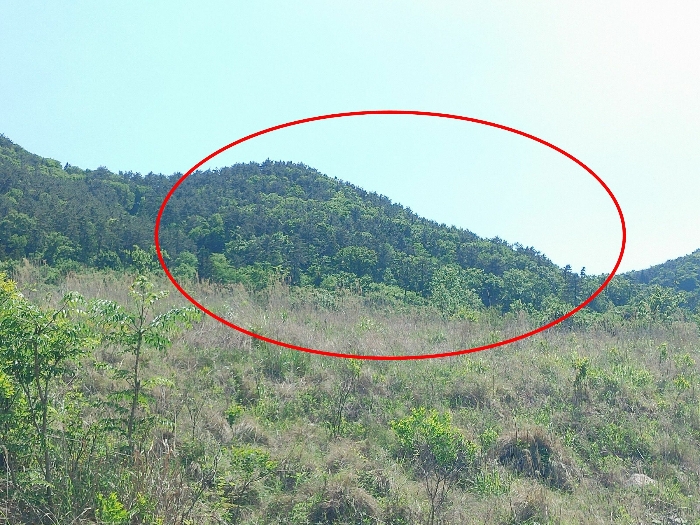 본건 기호 1,2 토지 전경