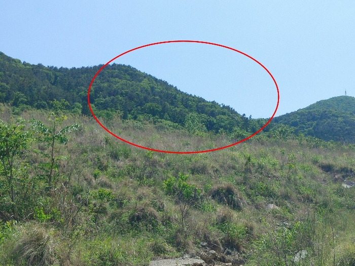 본건 기호 1,2 토지 전경