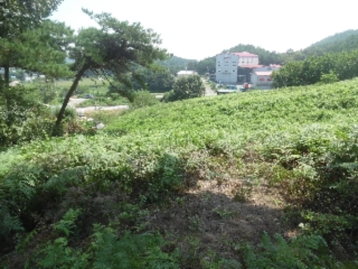 목록1.의 중앙 부분에서 남동쪽을 촬영한 모습