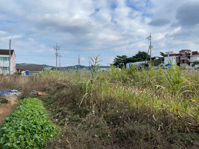 본건 일련번호(3) 전경