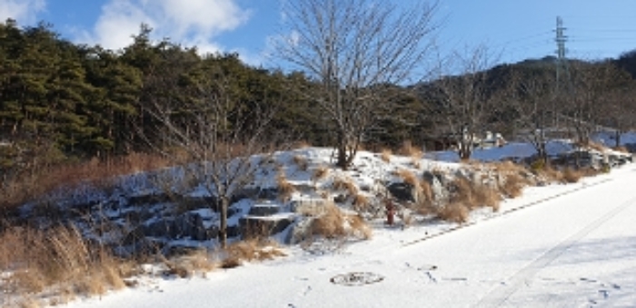 7번 부동산 전경