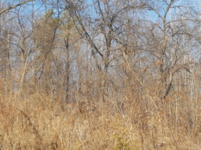 동쪽에서의 전경 (7)