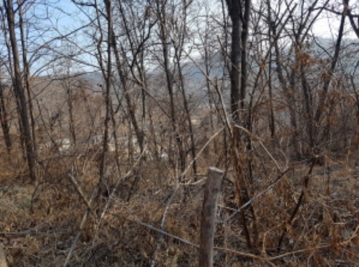 서쪽에서의 전경 (1)