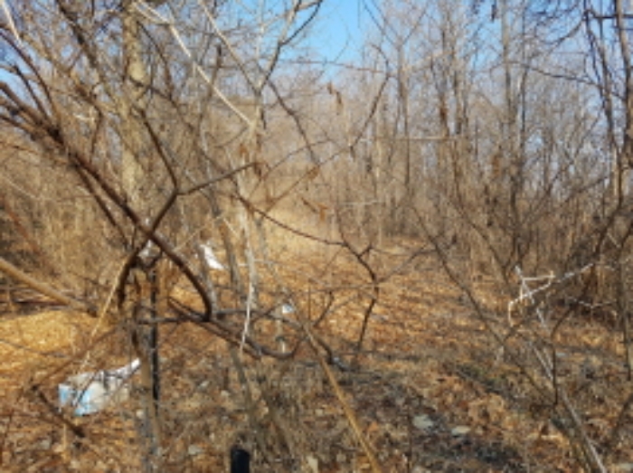 서쪽에서의 전경 (2)