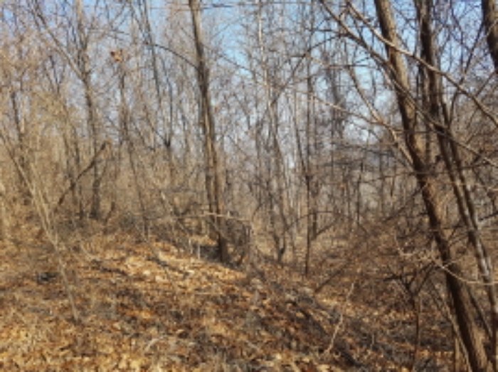 서쪽에서의 전경 (3)