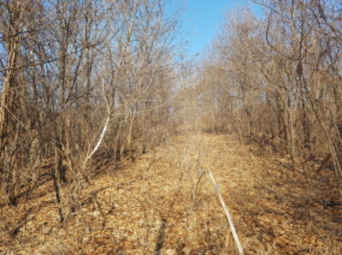 서쪽에서의 전경 (4)