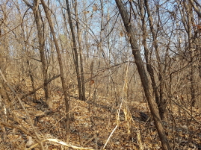 서쪽에서의 전경 (6)