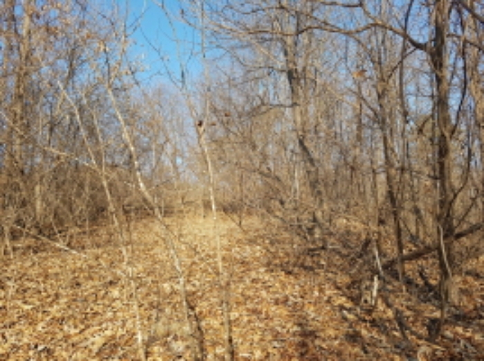 서쪽에서의 전경 (7)