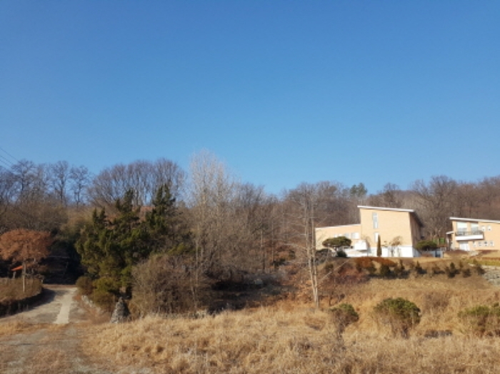 원거리 전경 (3)